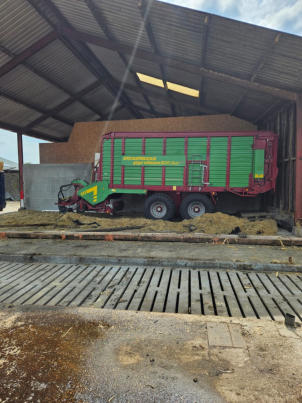 melkveebedrijf-oldenburger.nl